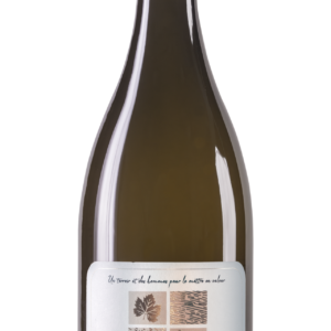 Première Paderc Chardonnay IGP Oc Bio