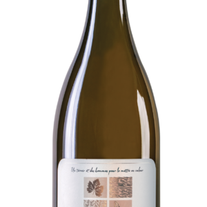 Première Paderc IGP Côtes de Thongue Blanc